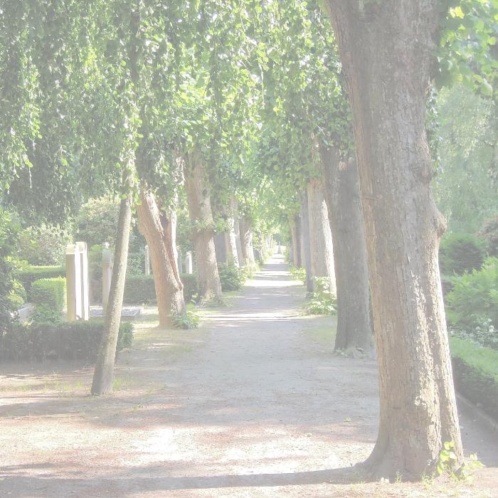 Apothekergrab Löwenapotheke 700x700